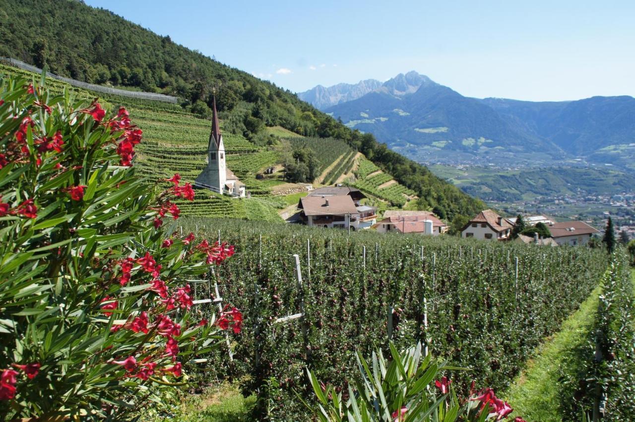 Oberangerhof Aparthotel ลากุนโด ห้อง รูปภาพ